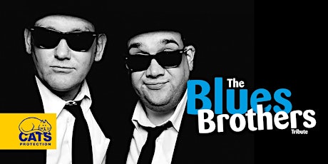 Blues Brothers primary image