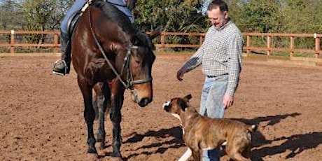 Farrier Exam Preparation primary image