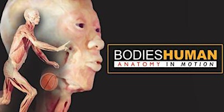 BODIES HUMAN with WSU College of Nursing primary image