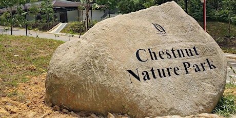 Exploring the largest nature park in Singapore, Chestnut Nature Park tickets