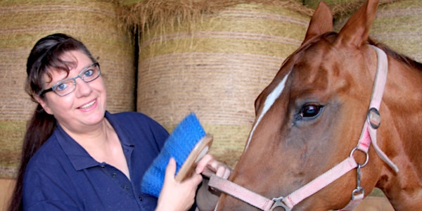 Verdiepingsdag Bloedzuigertherapie Dier: Behandelconcepten voor paarden
