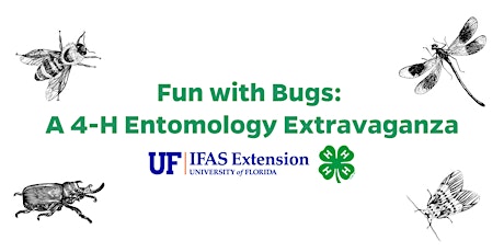 Fun with Bugs: A 4-H Entomology Extravaganza primary image