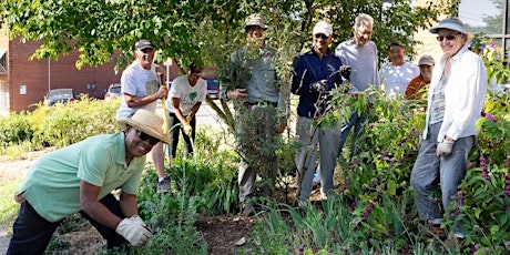 Master Gardener Info Session (8/22 In Person) tickets
