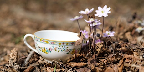 Afternoon Tea: A Trosset Wildflower Sanctuary Fundraiser tickets