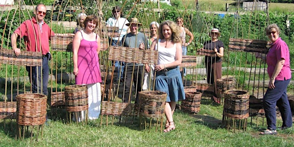 Willow Plant Support Workshop