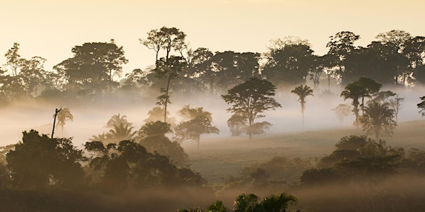 Building an Inclusive, Low-Carbon Economy in Acre, Brazil