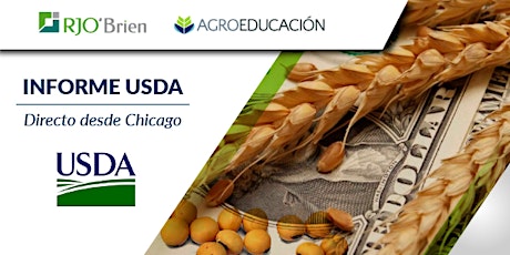 Imagen principal de Webinar: Informe del USDA - Directo desde Chicago