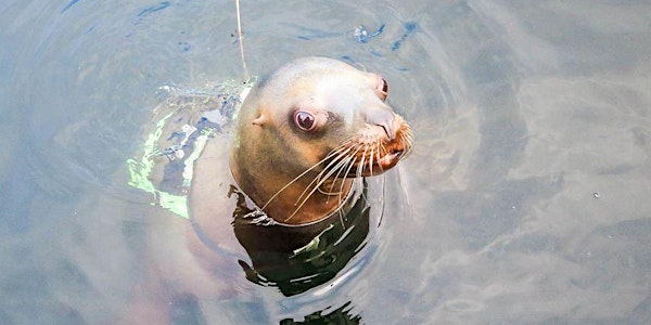 24th Annual BC Marine Mammal Symposium