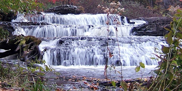 Water is Life - A panel about the health of our drinking water