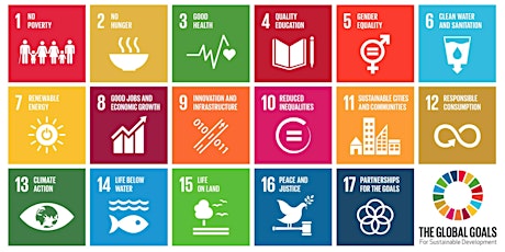 Primaire afbeelding van Sustainable Development Goals, Nederland en jij - een spannende combinatie!