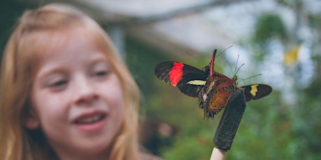 Kids pollinator workshop primary image