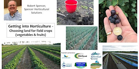 Getting into Horticulture- Choosing Land for Field Crops (fruit/vegetables) primary image