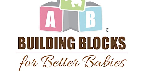 Building Blocks For Better Births - Women's Healthcare Network primary image