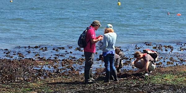Capturing Our Coast Training Day - Marine Biological Association