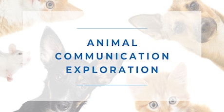 Animal Communication Exploration for Everyone (Online) tickets