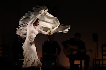 Flamenco en Sevilla entradas