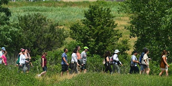Waste Walk