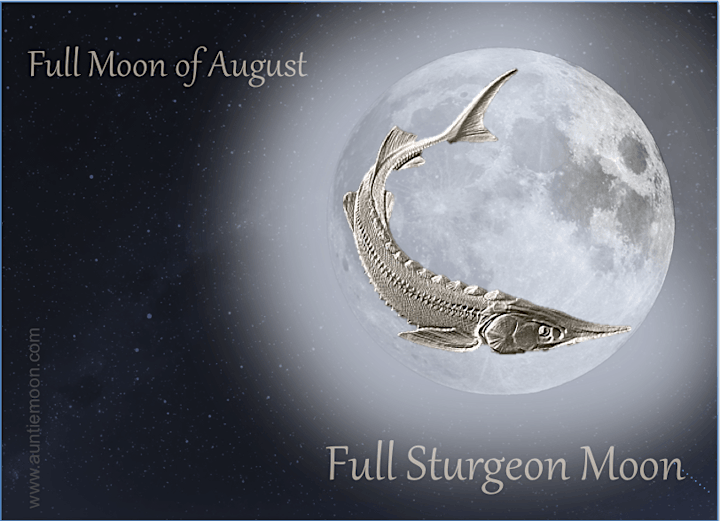August  Full Moon Hike image