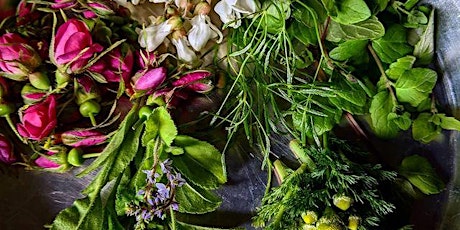 Wild Foraged Food Cooking Classes tickets