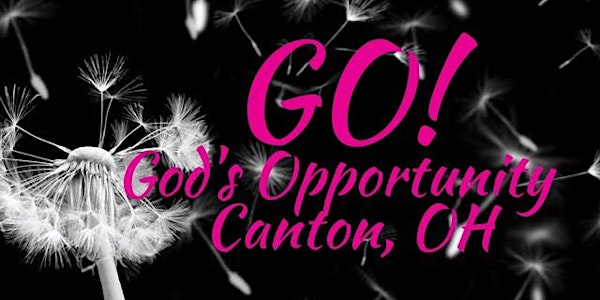 Lead, Serve, GO! (Women's Small Group Bible Study)- SESSION 5 (Fall/Winter 2016-17)