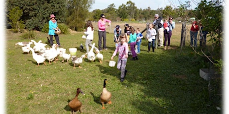 Mums and Bubs Farm Tour EASTER primary image