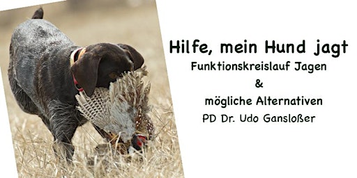 Hilfe mein Hund jagt (PD Dr. Udo Gansloßer)