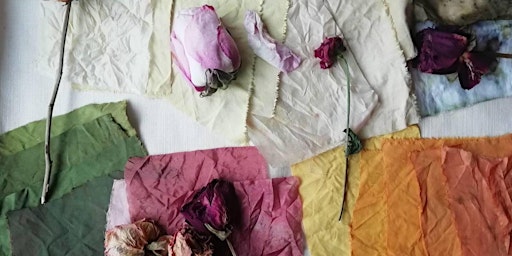 Introduction to Natural Dye
