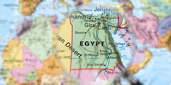 Practices and Technologies of Repression in Contemporary Egypt