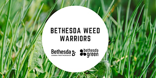 Bethesda Weed Warriors 2022