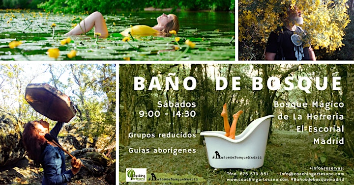 Imagen de Baño de Bosque sáb 21 may Primavera Bosque La Herrería El Escorial