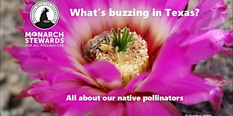 Bee Specialization in Western TX: Bioindication in Fragmented Grasslands? tickets
