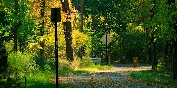 New Springville Greenway Cleanup
