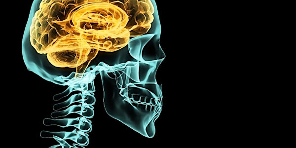 Impact: A Public Forum on Concussion