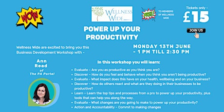 Power Up Your Productivity - Workshop for Wellness Professionals entradas