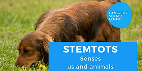 STEMtots - Senses - us and animals tickets
