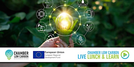 Chamber Low Carbon Lunch & Learn Online Event - What is an EMS?
