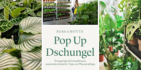 Hauptbild für Pop Up Dschungel // Stuttgart