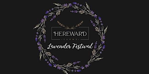 Hereward Farms Lavender Festival