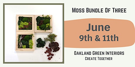 Moss Art Bundle of Three - June 11th
