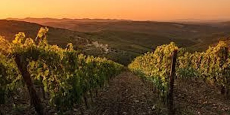 The Wines of Monteraponi primary image