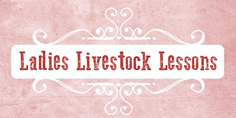2017 Ladies Livestock Lessons primary image