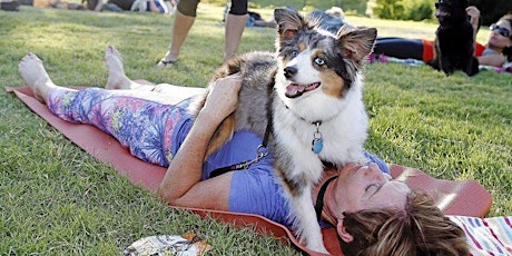 Dog Yoga in the Vineyard by Hounds of Erie Winery