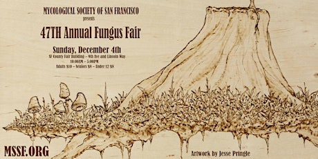 47th annual MSSF Fungus Fair ‒ December 4 2016 primary image