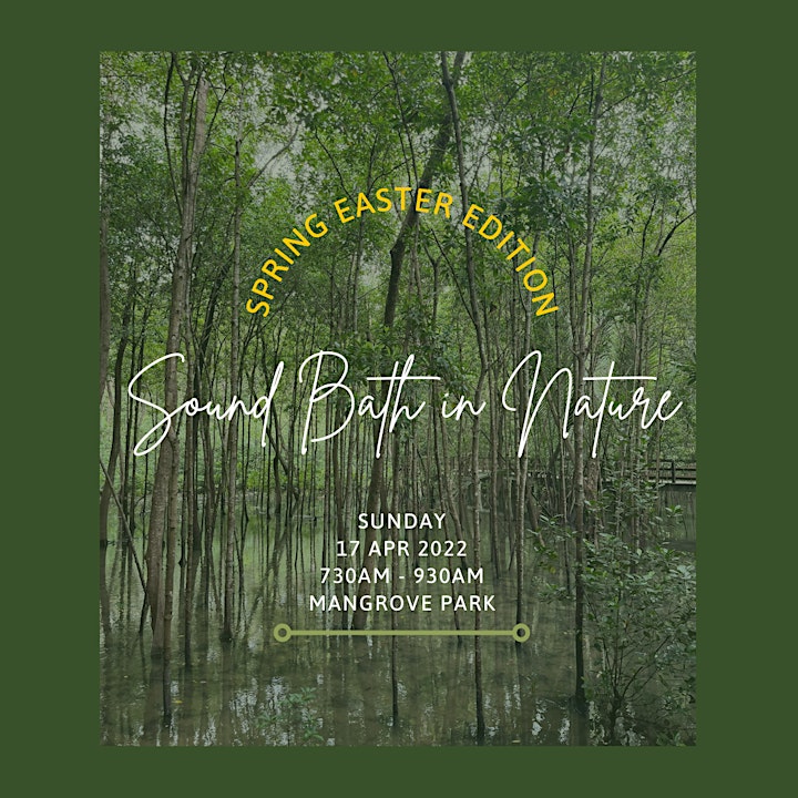 Spring Easter Edition: Sound Bath In Nature + Forest Bathing image