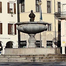 Immagine del profilo dell'organizzatore