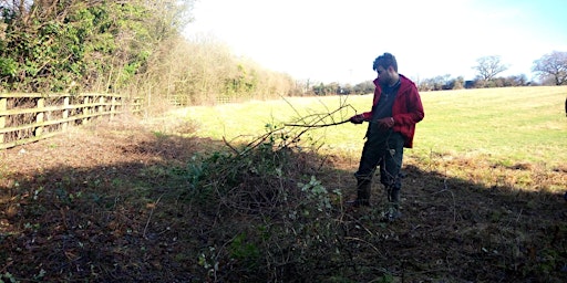 Young People Volunteer Group (aged 18-25) in the Heart of England Forest