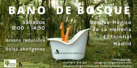 Baño de Bosque sáb 30 abr Primavera Bosque La Herrería El Escorial