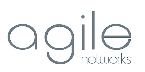 Agile Lunch & Learn "Real-time Traffic Engineering & its Application"