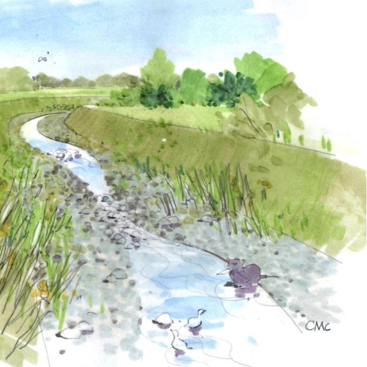 Hayle River Community Project image