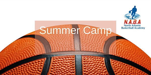 Summer Camp Basketball